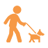 dog with belt walking with a man